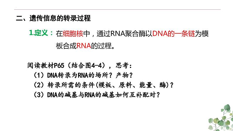 4.1 基因指导蛋白质的合成-高一生物下学期教学课件（人教版2019必修二）第8页