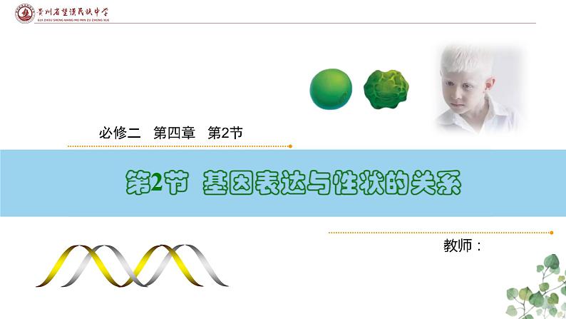 4.2 基因表达与性状的关系-高一生物下学期教学课件（人教版2019必修二）01