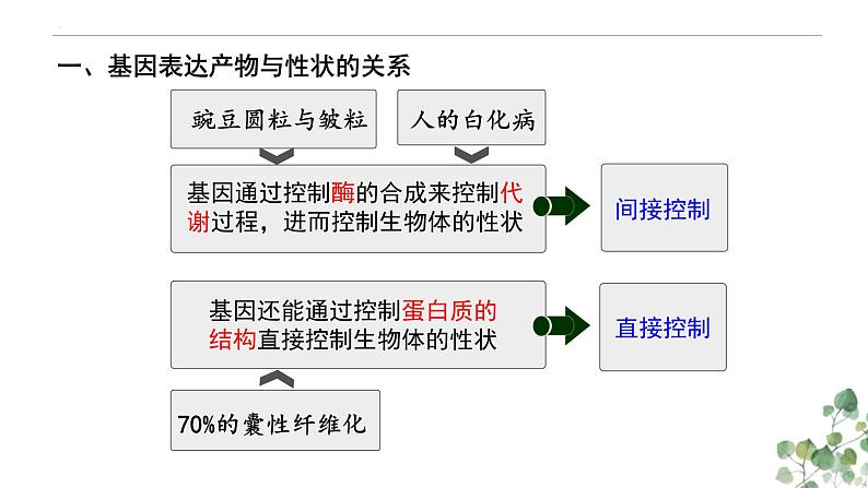 4.2 基因表达与性状的关系-高一生物下学期教学课件（人教版2019必修二）07