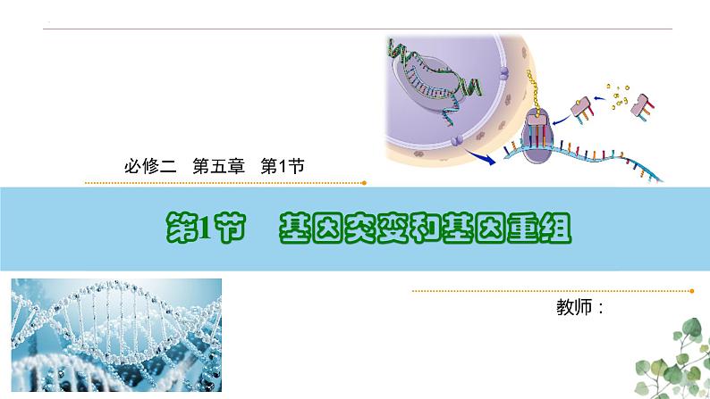 5.1 基因突变和基因重组-高一生物下学期教学课件（人教版2019必修二）01