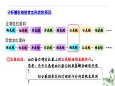 5.1 基因突变和基因重组-高一生物下学期教学课件（人教版2019必修二）