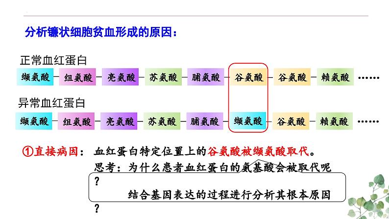 5.1 基因突变和基因重组-高一生物下学期教学课件（人教版2019必修二）05