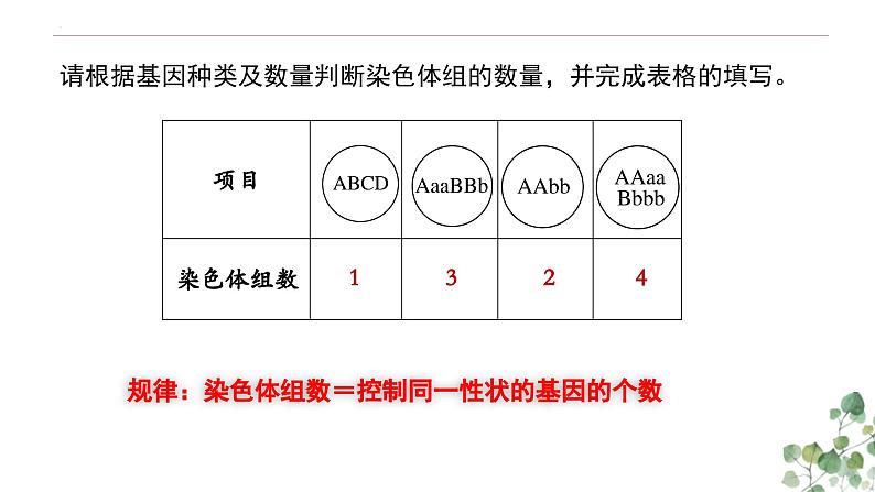 5.2 染色体变异-高一生物下学期教学课件（人教版2019必修二）第6页