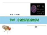 6.2 自然选择与适应的形成-高一生物下学期教学课件（人教版2019必修二）