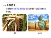 6.2 自然选择与适应的形成-高一生物下学期教学课件（人教版2019必修二）