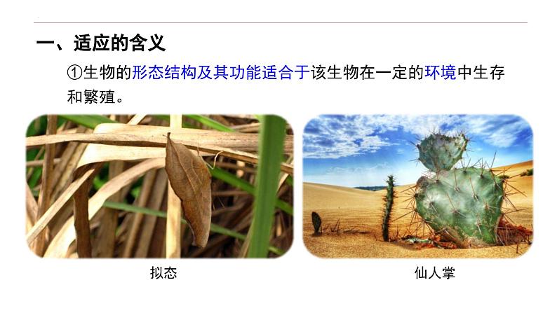 6.2 自然选择与适应的形成-高一生物下学期教学课件（人教版2019必修二）02