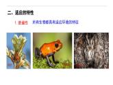6.2 自然选择与适应的形成-高一生物下学期教学课件（人教版2019必修二）