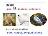6.2 自然选择与适应的形成-高一生物下学期教学课件（人教版2019必修二）