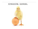 6.3.1 种群基因组成的变化-高一生物下学期教学课件（人教版2019必修二）