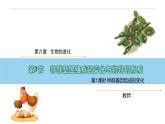 6.3.1 种群基因组成的变化-高一生物下学期教学课件（人教版2019必修二）