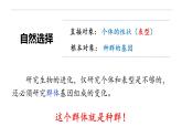6.3.1 种群基因组成的变化-高一生物下学期教学课件（人教版2019必修二）
