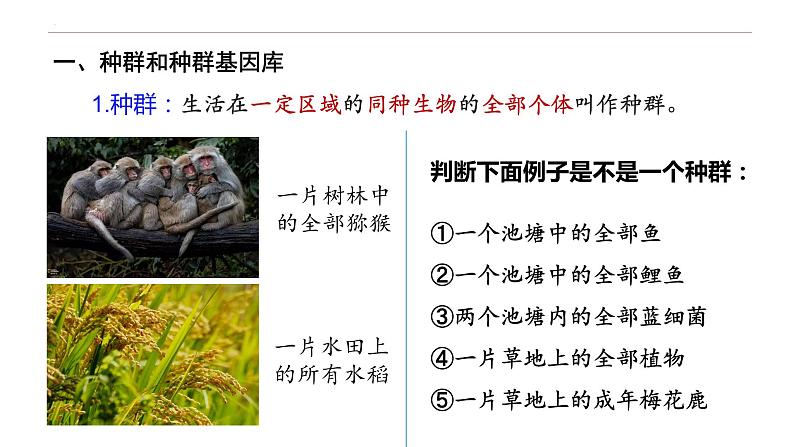 6.3.1 种群基因组成的变化-高一生物下学期教学课件（人教版2019必修二）05