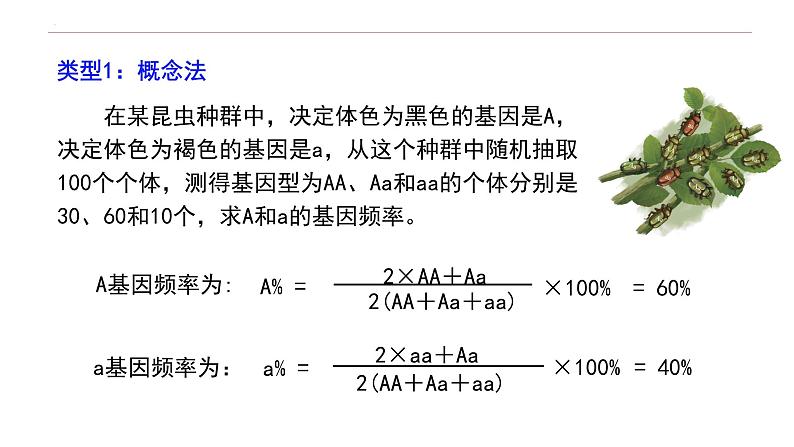 6.3.1 种群基因组成的变化-高一生物下学期教学课件（人教版2019必修二）08