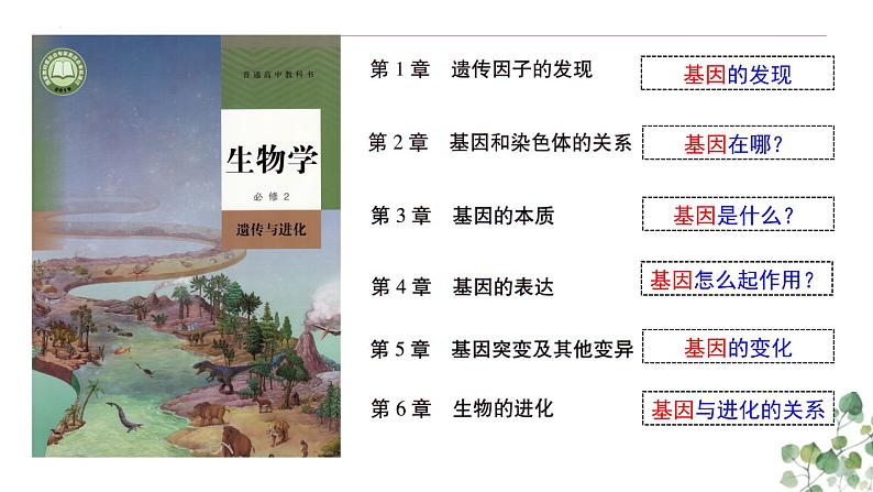 1.1 孟德尔的豌豆杂交实验（一）-高一生物下学期教学课件（人教版2019必修二）02