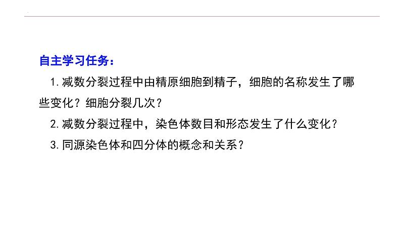 2.1 减数分裂和受精作用-高一生物下学期教学课件（人教版2019必修二）第6页