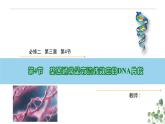 3.4 基因是具有遗传效应的DNA片段-高一生物下学期教学课件（人教版2019必修二）