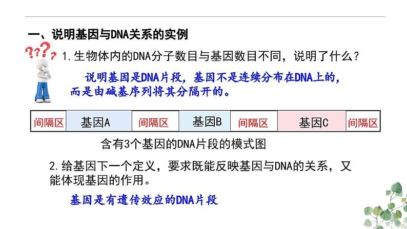 3.4 基因是具有遗传效应的DNA片段-高一生物下学期教学课件（人教版2019必修二）第6页