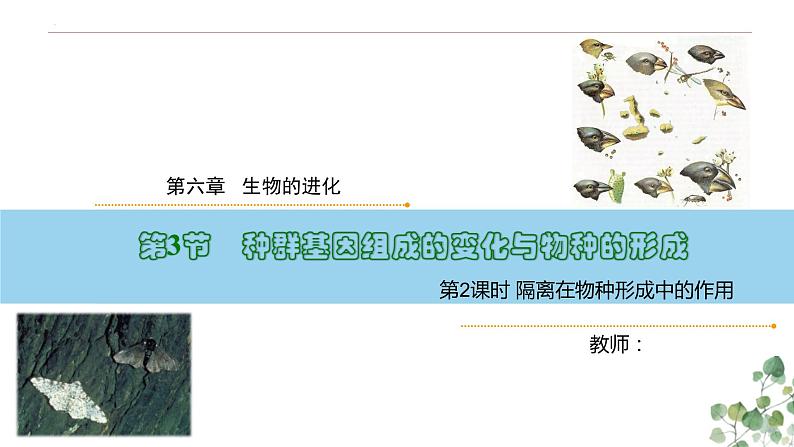 6.3.2 隔离在物种形成中的作用-高一生物下学期教学课件（人教版2019必修二）第1页