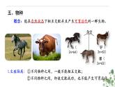 6.3.2 隔离在物种形成中的作用-高一生物下学期教学课件（人教版2019必修二）