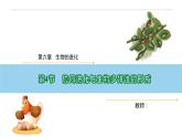 6.4 协同进化与生物多样性的形成-高一生物下学期教学课件（人教版2019必修二）