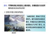 6.4 协同进化与生物多样性的形成-高一生物下学期教学课件（人教版2019必修二）
