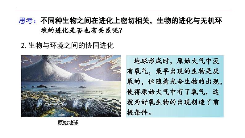 6.4 协同进化与生物多样性的形成-高一生物下学期教学课件（人教版2019必修二）05