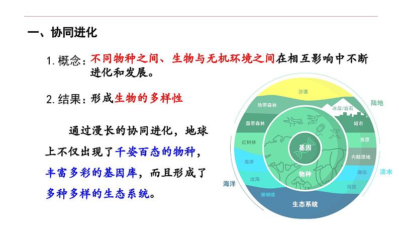 6.4 协同进化与生物多样性的形成-高一生物下学期教学课件（人教版2019必修二）06