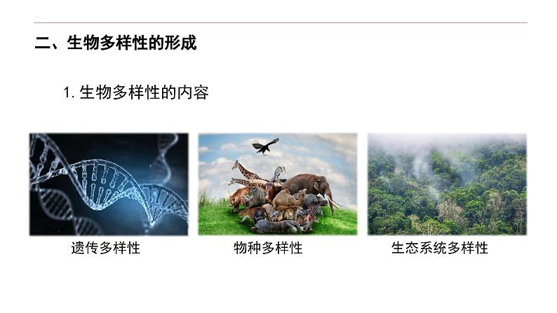 6.4 协同进化与生物多样性的形成-高一生物下学期教学课件（人教版2019必修二）07