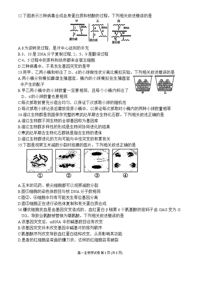 江苏省连云港市2023-2024学年高一下学期6月期末生物试题第3页