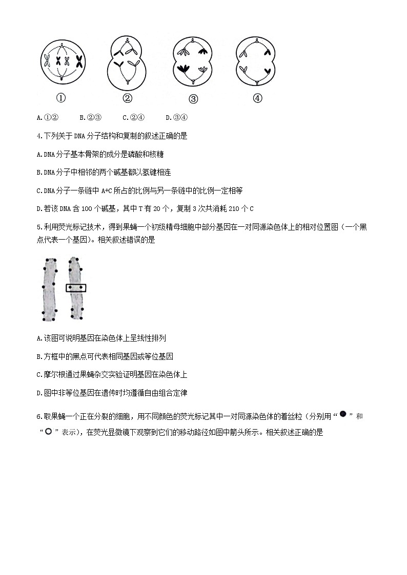 江苏省苏州市2023-2024学年高一下学期6月期末生物试题(无答案)第2页