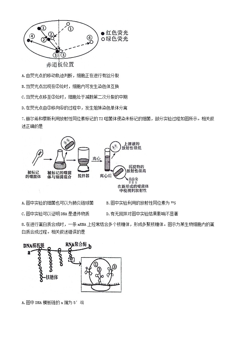 江苏省苏州市2023-2024学年高一下学期6月期末生物试题(无答案)第3页