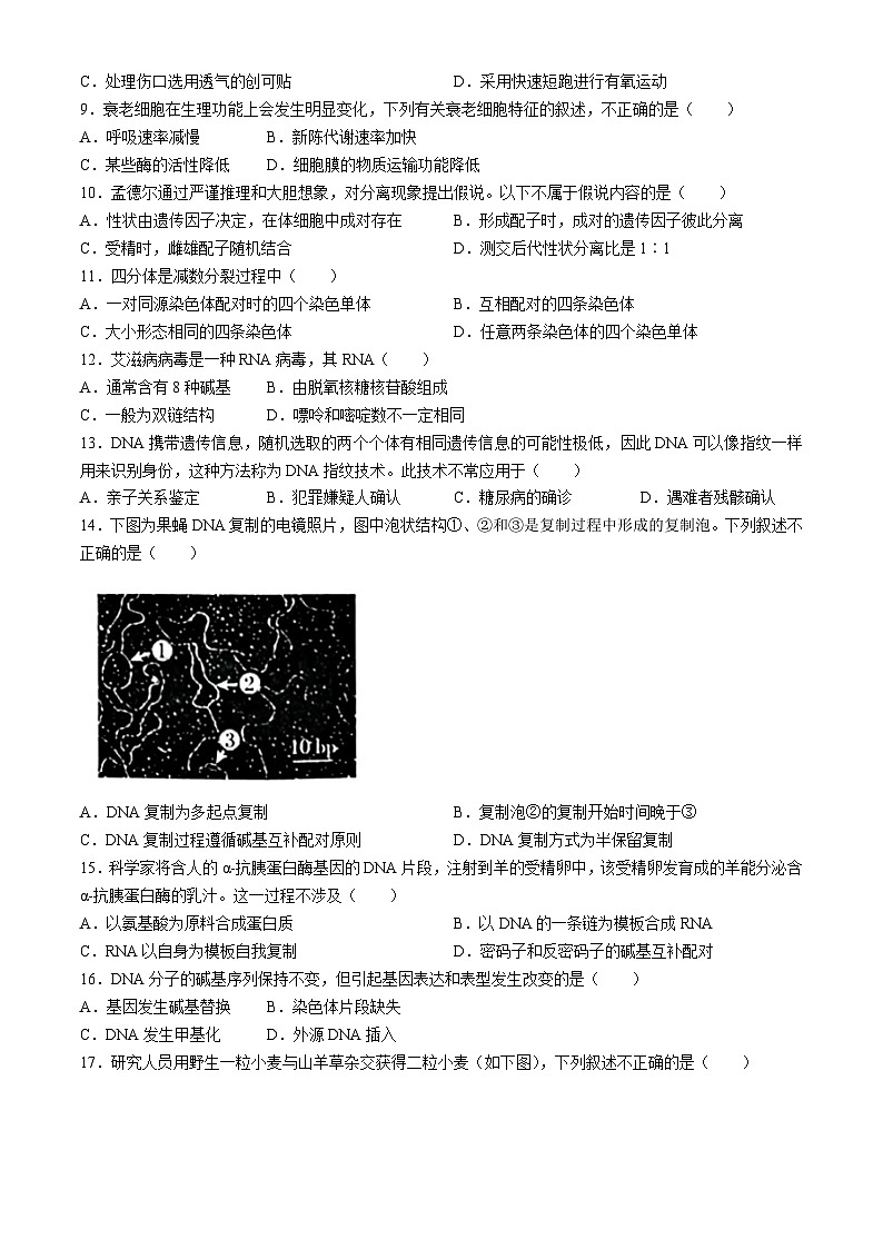 北京理工大学附属中学2023-2024学年高一下学期6月月考生物试题（Word版附答案）第2页
