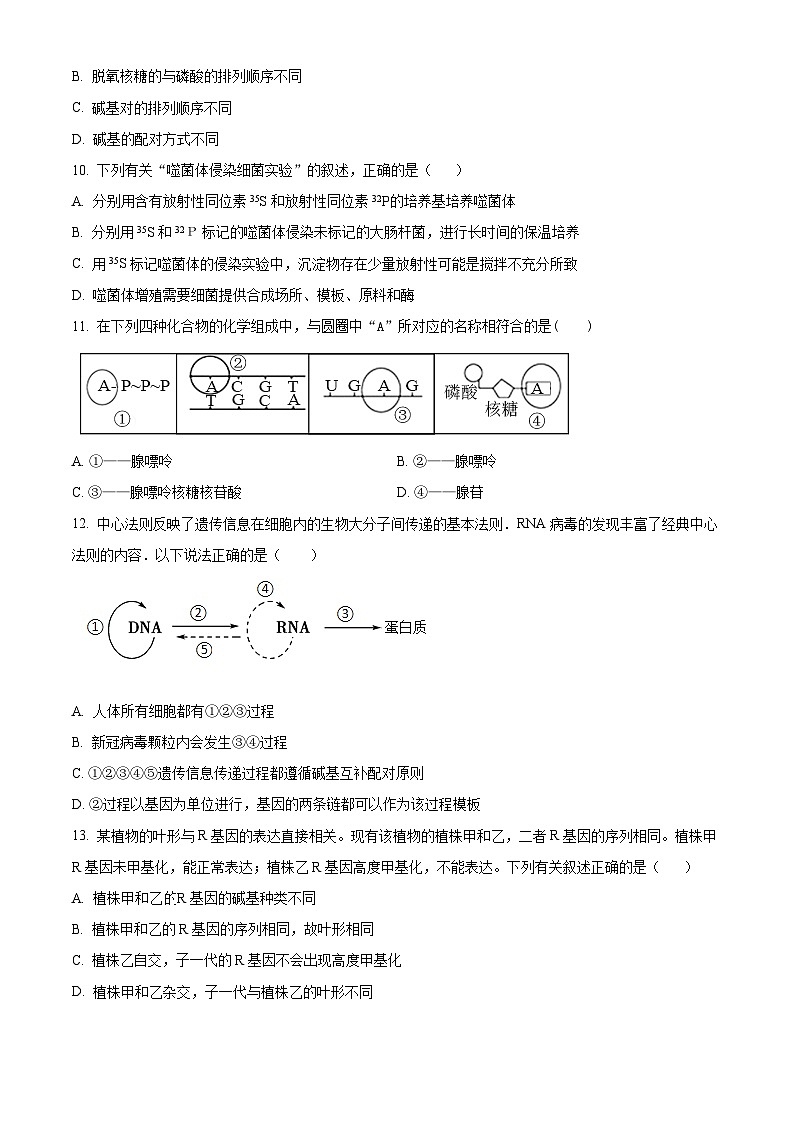 海南省琼海市嘉积中学2023-2024学年高一下学期6月期中考试生物试题（Word版附解析）03