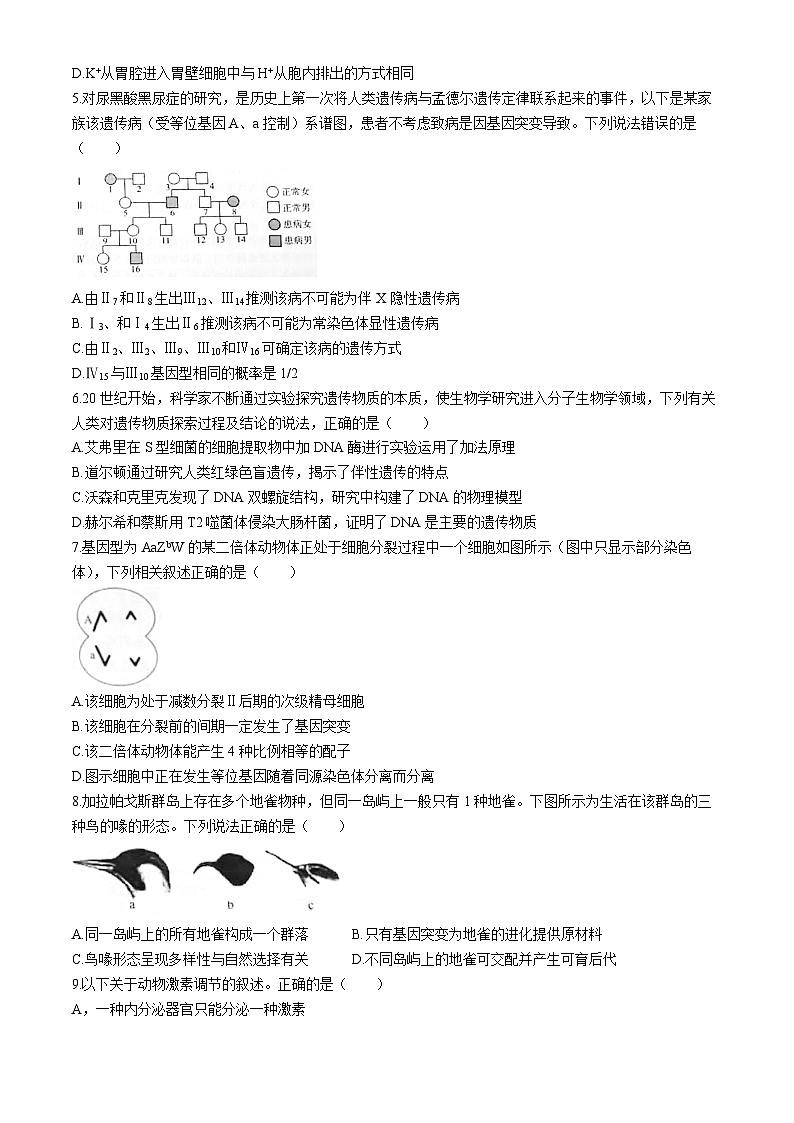 河北省“五个一”名校联盟2025届高三上学期第一次联考生物试题（Word版附解析）02