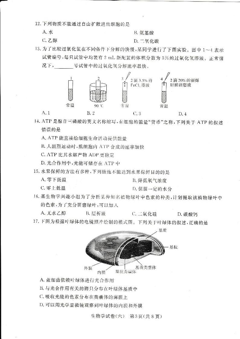 2024年湖北省普通高中学业水平合格性考试模拟（六）生物试题第3页