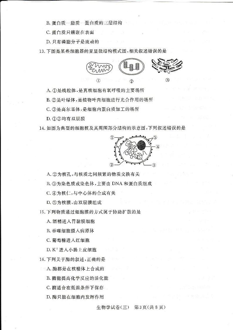 2024年湖北省普通高中学业水平合格性考试模拟（三）生物试题第3页