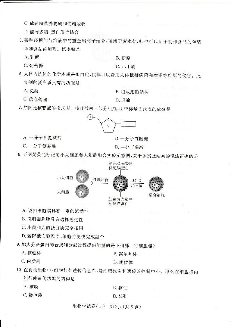 2024年湖北省普通高中学业水平合格性考试模拟（四）生物试题第2页