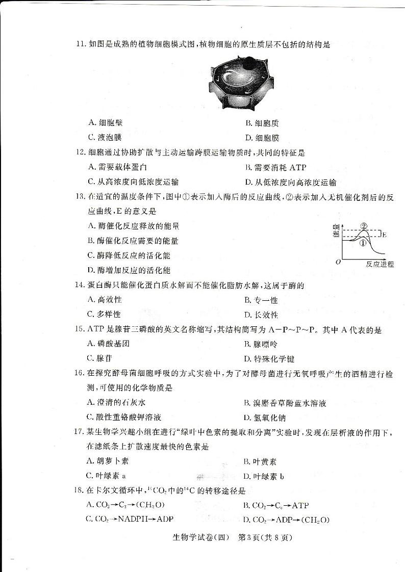 2024年湖北省普通高中学业水平合格性考试模拟（四）生物试题第3页