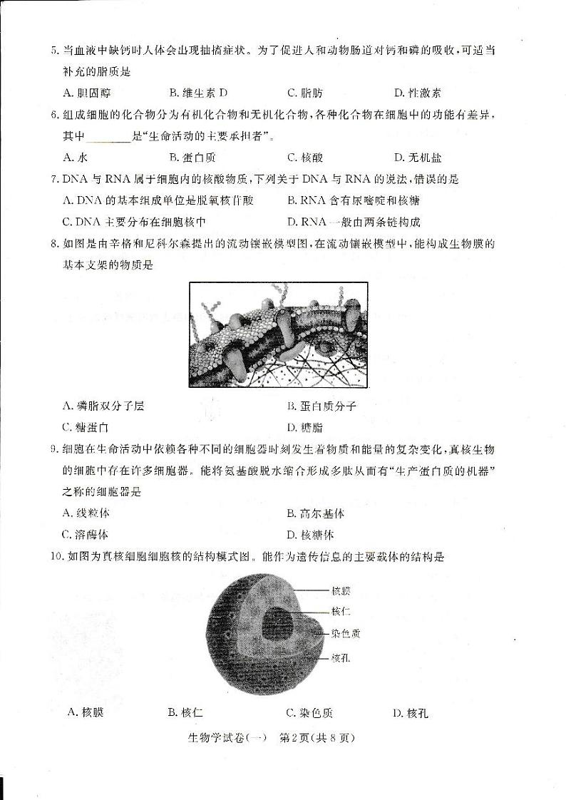 2024年湖北省普通高中学业水平合格性考试模拟（一）生物试题第2页