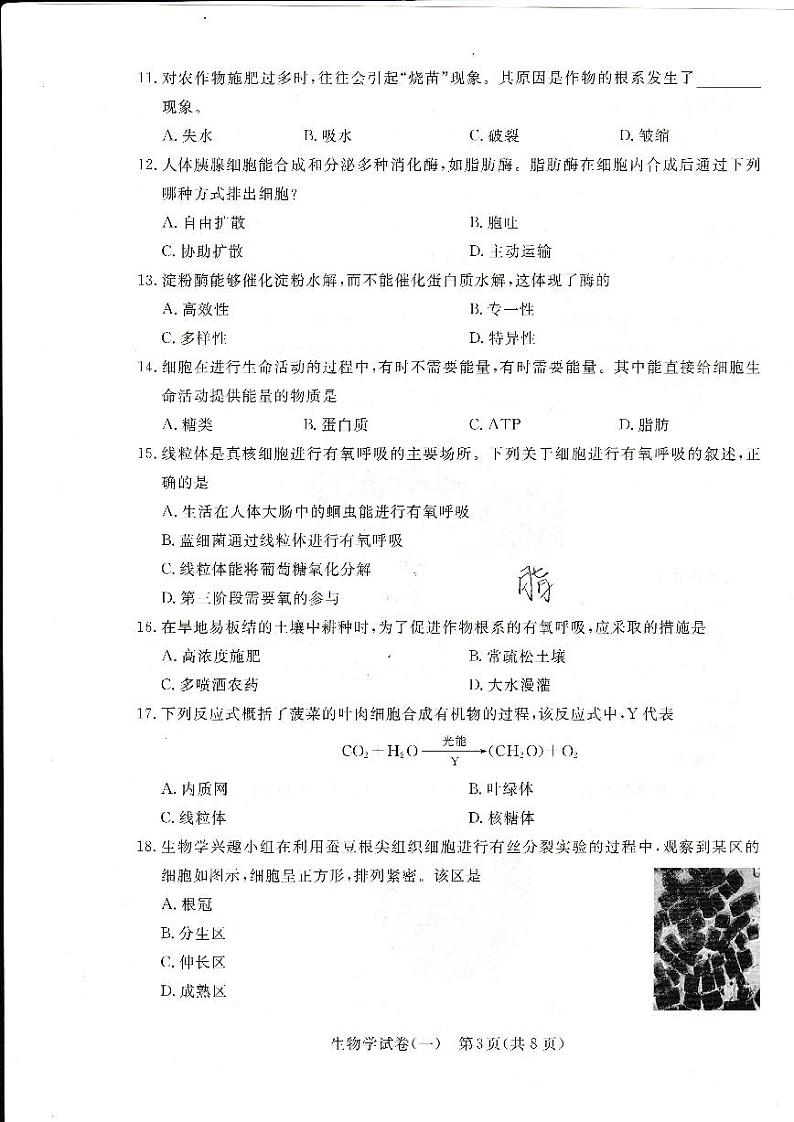 2024年湖北省普通高中学业水平合格性考试模拟（一）生物试题第3页