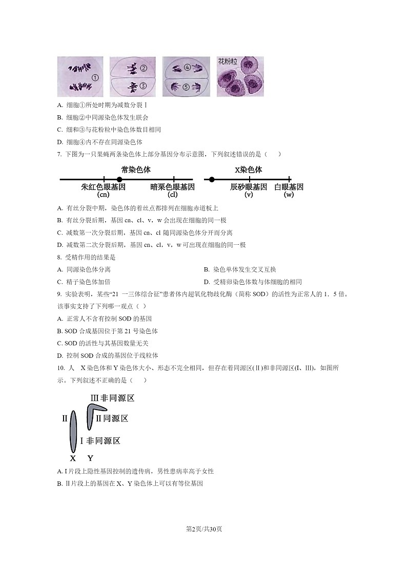 [生物]2022北京北师大附中高一下学期期末试卷及答案02
