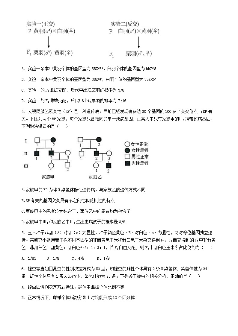 山东省枣庄市第三中学2023-2024学年高一下学期6月月考生物试题（Word版附答案）02