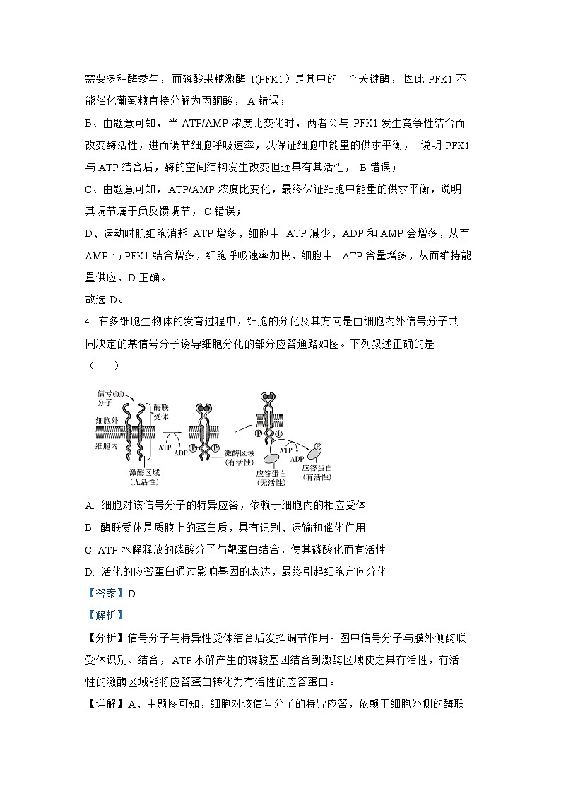 （网络 收集版）2024年新高考安徽生物高考真题文档版（无答案）03