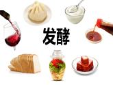 人教版高中生物选择性必修三 1.1传统发酵技术的应用课件