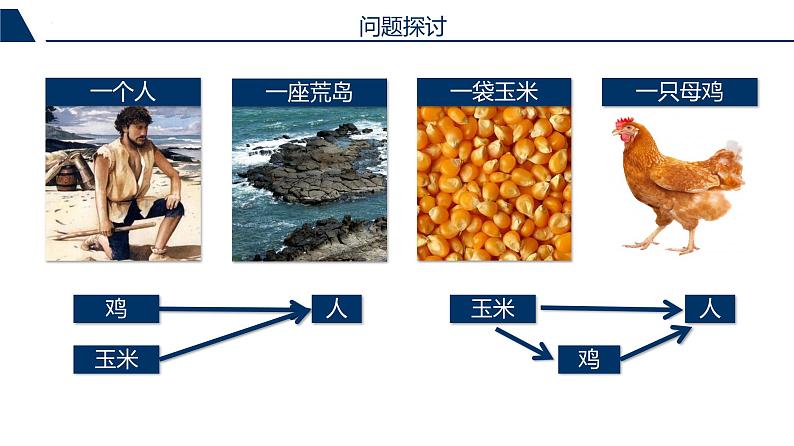 人教版高中生物选择性必修二第3章第2节生态系统的能量流动课件第2页