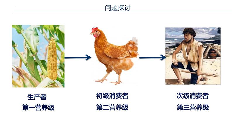 人教版高中生物选择性必修二第3章第2节生态系统的能量流动课件第3页