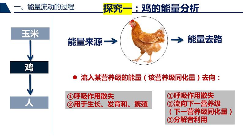 人教版高中生物选择性必修二第3章第2节生态系统的能量流动课件第4页