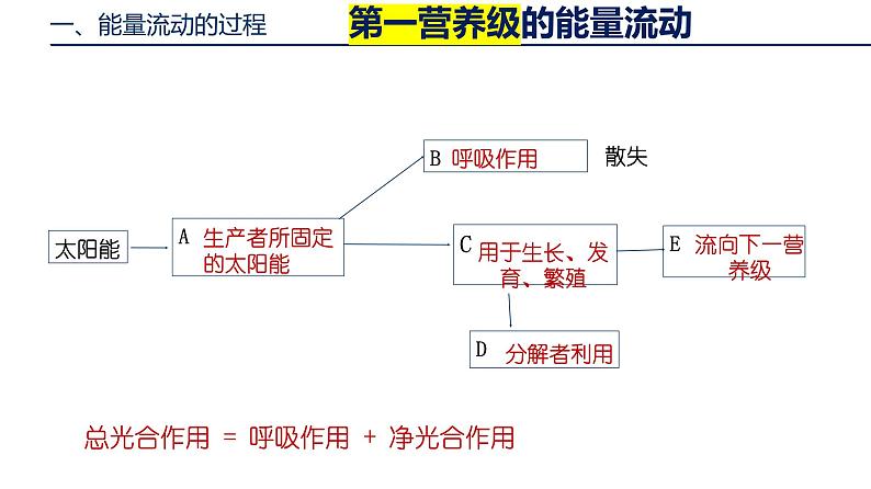 人教版高中生物选择性必修二第3章第2节生态系统的能量流动课件第6页