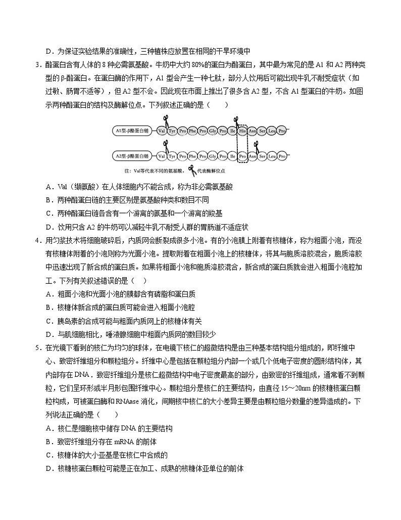 期末押题卷01-高二生物下学期期末考点大串讲（人教版2019）02