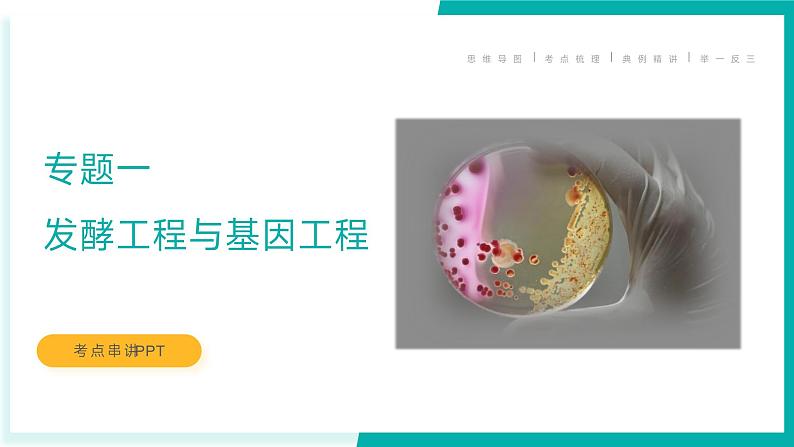 专题一 发酵工程与基因工程（期末考点串讲）-2023-2024学年高二生物下学期期末考点大串讲（人教版2019）课件PPT01